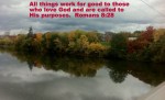 romans 828